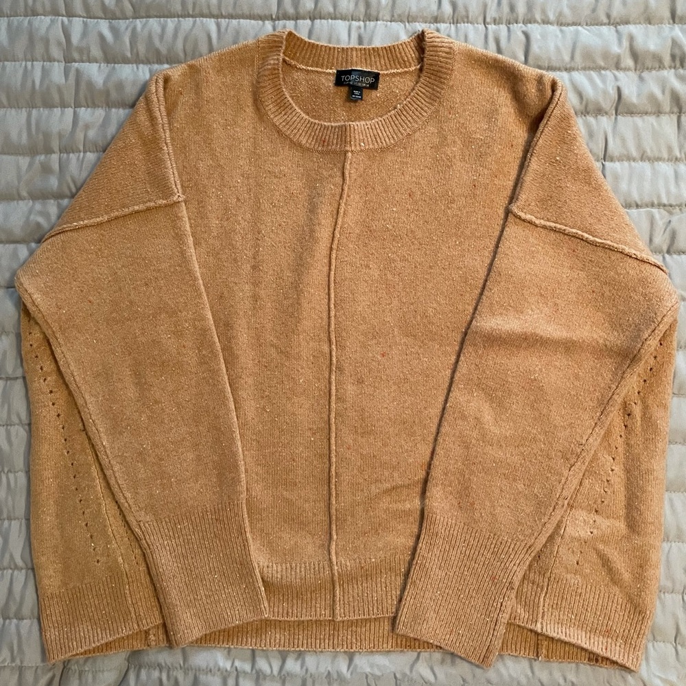 Topshop Crewneck Sweater